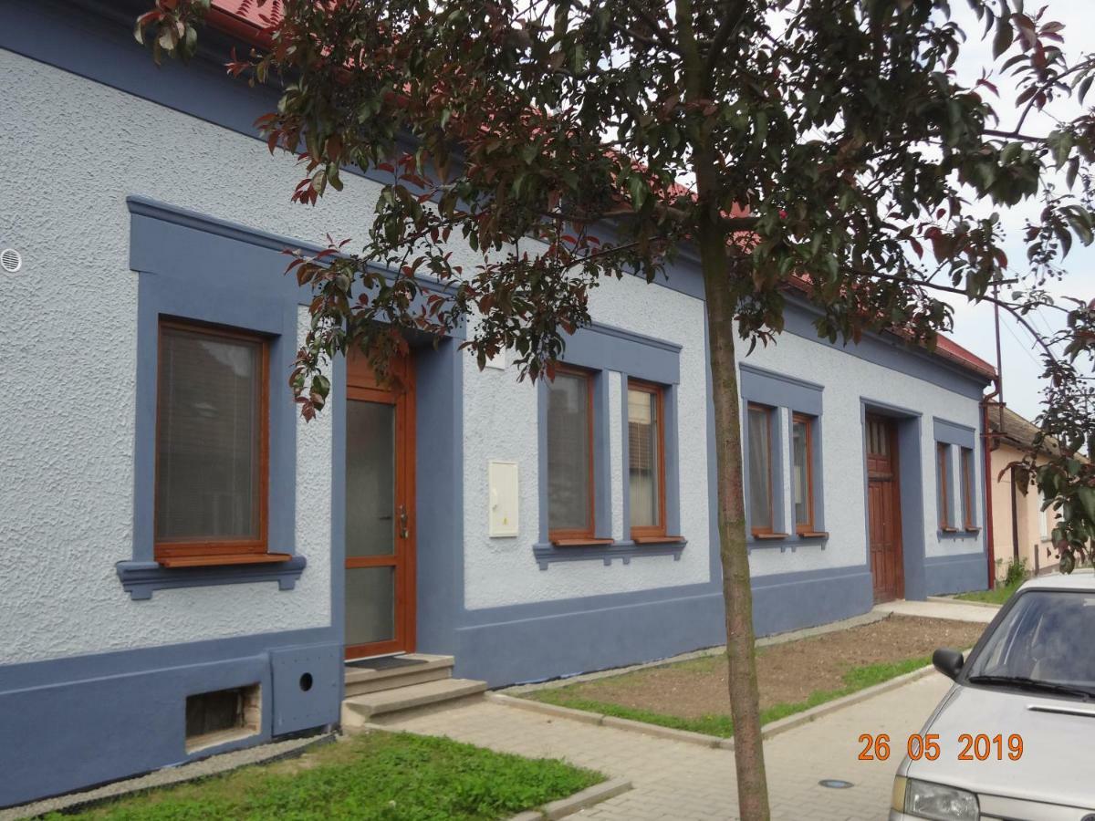 Apartmany U Splavu Veselí nad Moravou Dış mekan fotoğraf