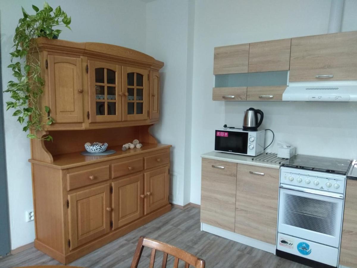 Apartmany U Splavu Veselí nad Moravou Dış mekan fotoğraf